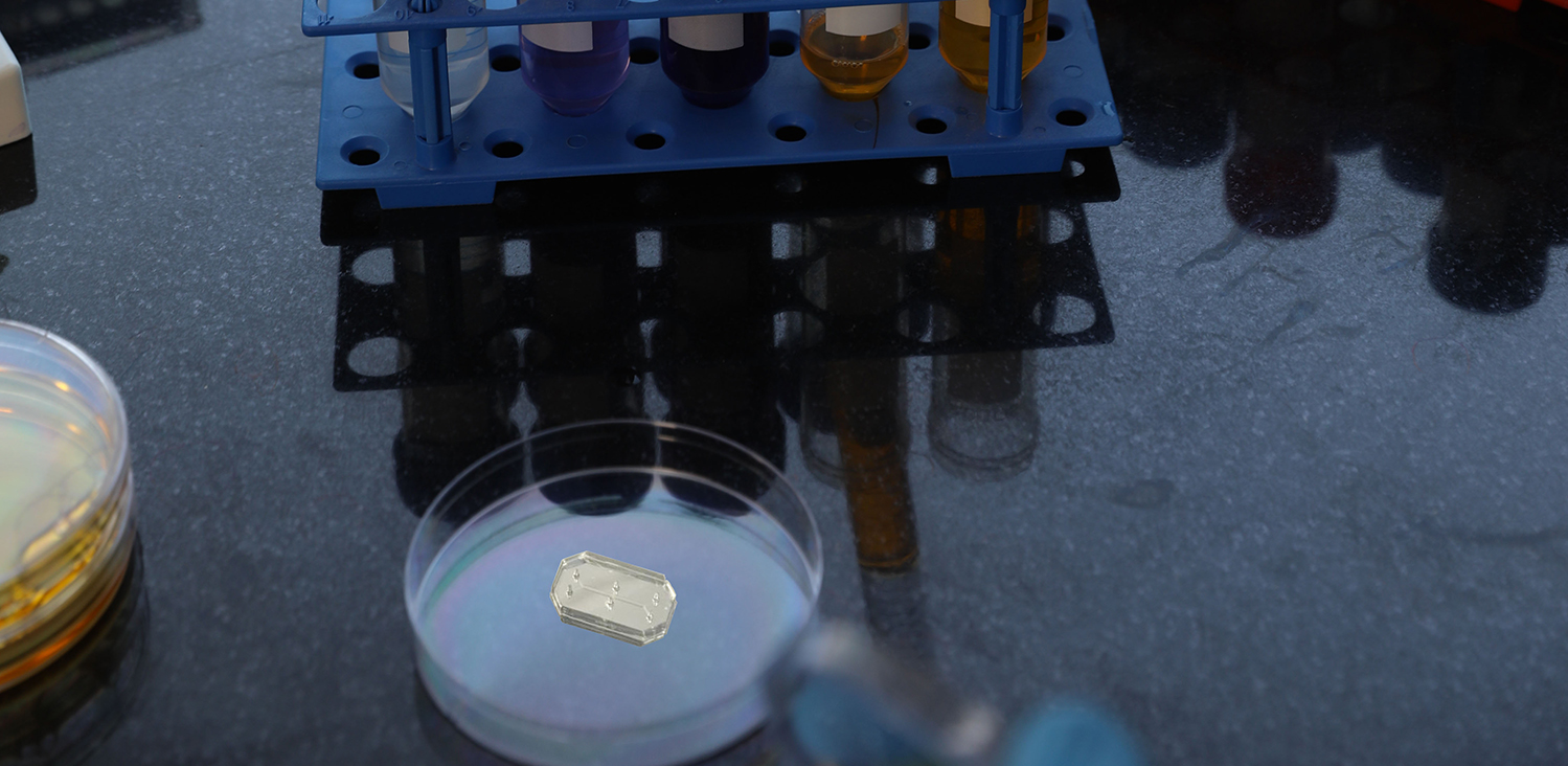 AbdosLabtech's tweet card. Organ-on-a-chip (OOC) technology is a significantly used emerging technology in cell biology and biomaterials to replicate human organ functionality in laboratory settings. Also referred to as...