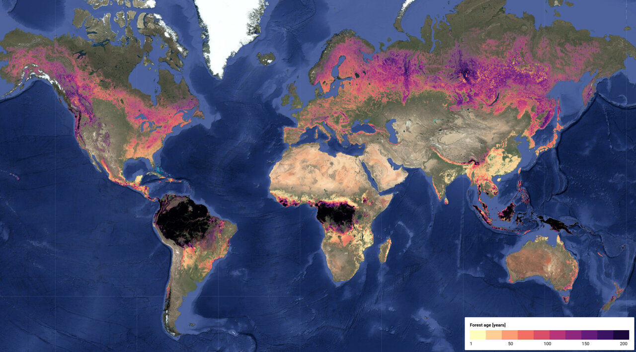 SWIFTT_Project's tweet card. Forests across the globe are experiencing significant changes in their age structure. Many tropical regions, including the Amazon, the Congo Basin, and Southeast Asia, are seeing widespread shifts...