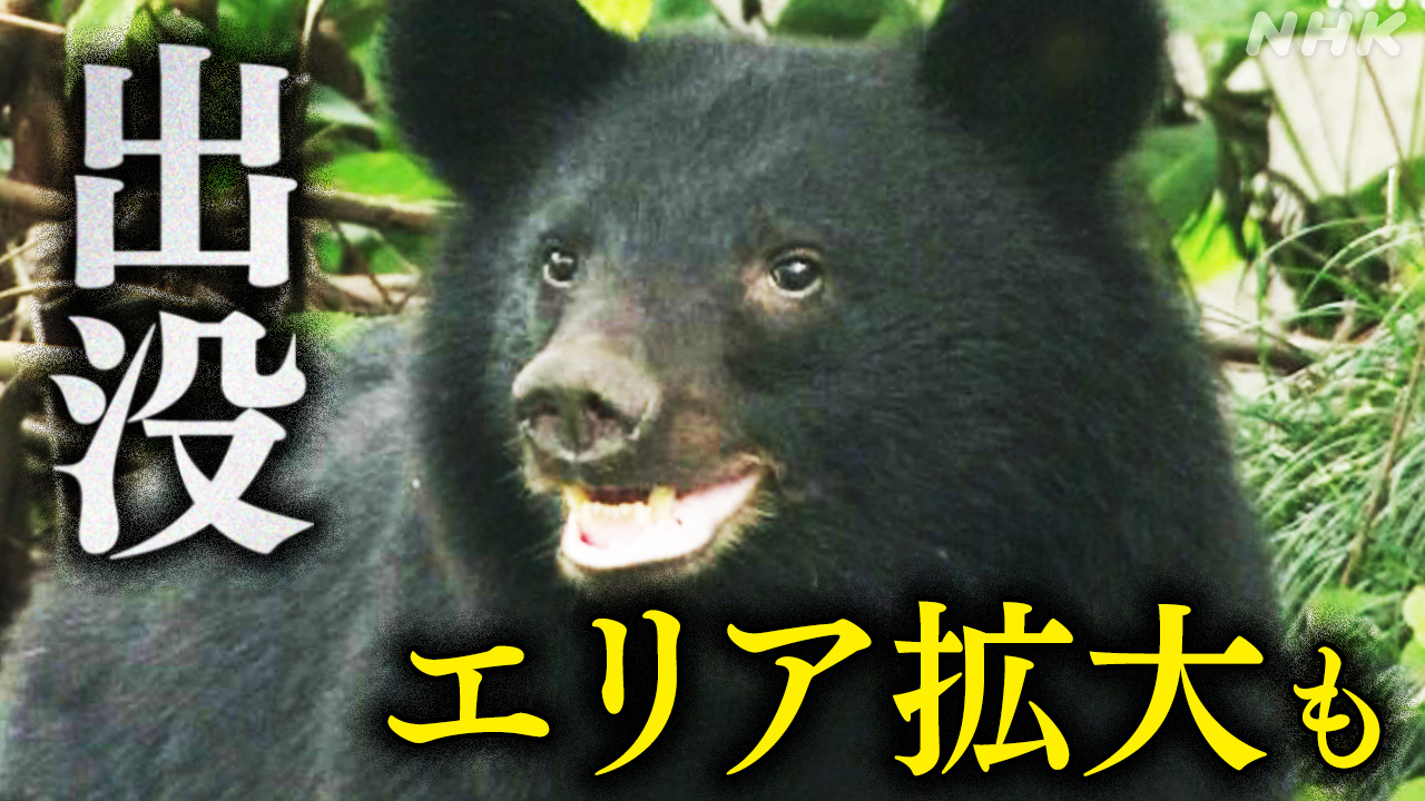 nhk_news's tweet card. 【NHK】クマによる被害が各地で相次ぎ、今月に入ってから23日昼までに発生したクマによる人身被害は、NHKのまとめで少なくとも全国
