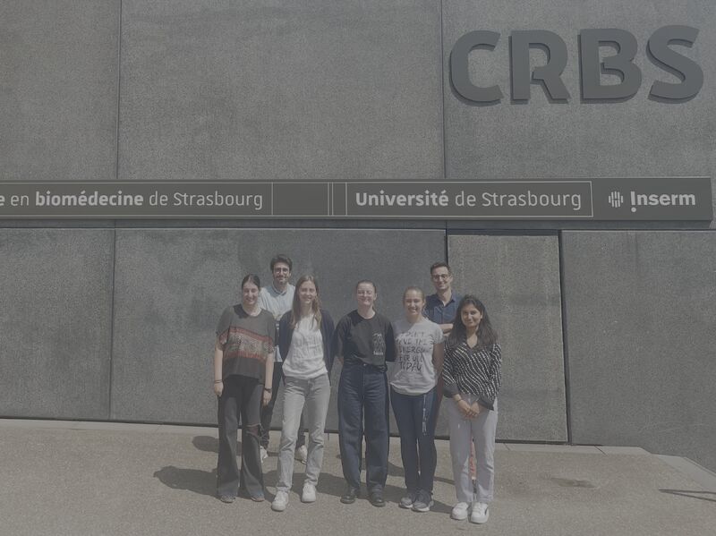 EnklerLudovic's tweet card. With this new academic year coming ahead, it's also time to look back at what we achieved over the past year...and what have we done ! The CRBS - Centre de recherche en biomédecine de Strasbourg has...