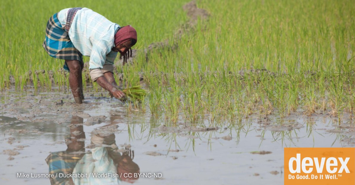 aruhweza's tweet card. Neglecting to nurture agrifood systems accelerates conflict and economic decline. Yet with strategic investment, these can become powerful drivers of stability, growth, and peace.
