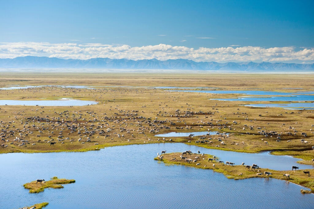 volcaholic1's tweet card. At the expense of communities and our climate, this massive public lands attack auctions off treasured lands in the nation’s largest wildlife refuge to benefit fossil fuel companies