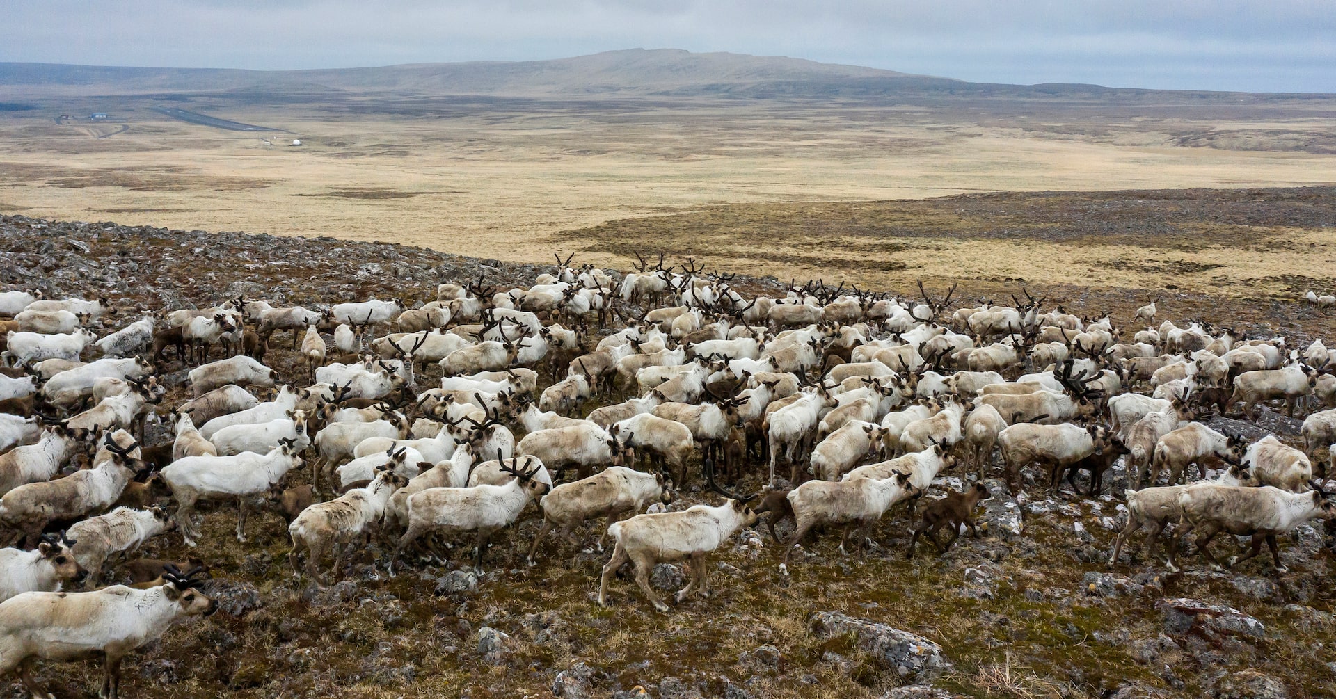 ECOWARRIORSS's tweet card. The Trump administration on Thursday announced a series of steps to open up Alaskan wilderness to energy and infrastructure development, including by resuming oil and gas leasing in the remote Arctic...