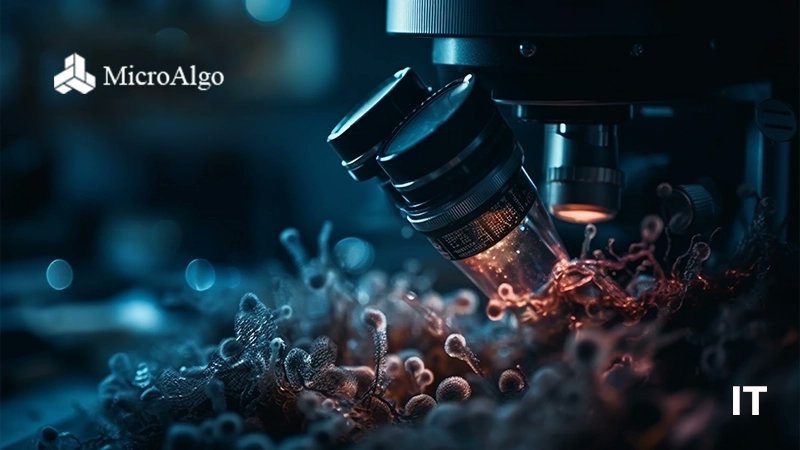 ITDigestmag's tweet card. MicroAlgo Inc., announced that their newly developed quantum edge detection algorithm has broken through the limitations of classical methods.