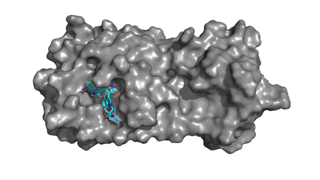 physorg_com's tweet card. As the COVID-19 pandemic scattered and isolated people, researchers across Virginia Tech connected for a data-driven collaboration seeking improved drugs to fight the disease and potentially many...