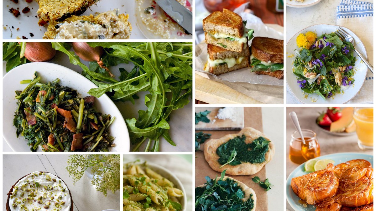 scbasicneeds's tweet card. These recipes are made with weeds that are most definitely not weed, and are sometimes flowers that grow right outside my home and I had no idea I could be putting in my mouth. The more you know!