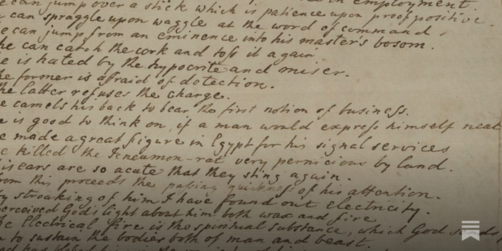 ListsOfNote's tweet card. The many reasons why Christopher Smart loved his cat