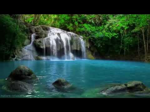 CommunityTalk3's tweet card. [No Ads] Waterfall Jungle Sounds Relaxing Tropical Rainforest Nature...