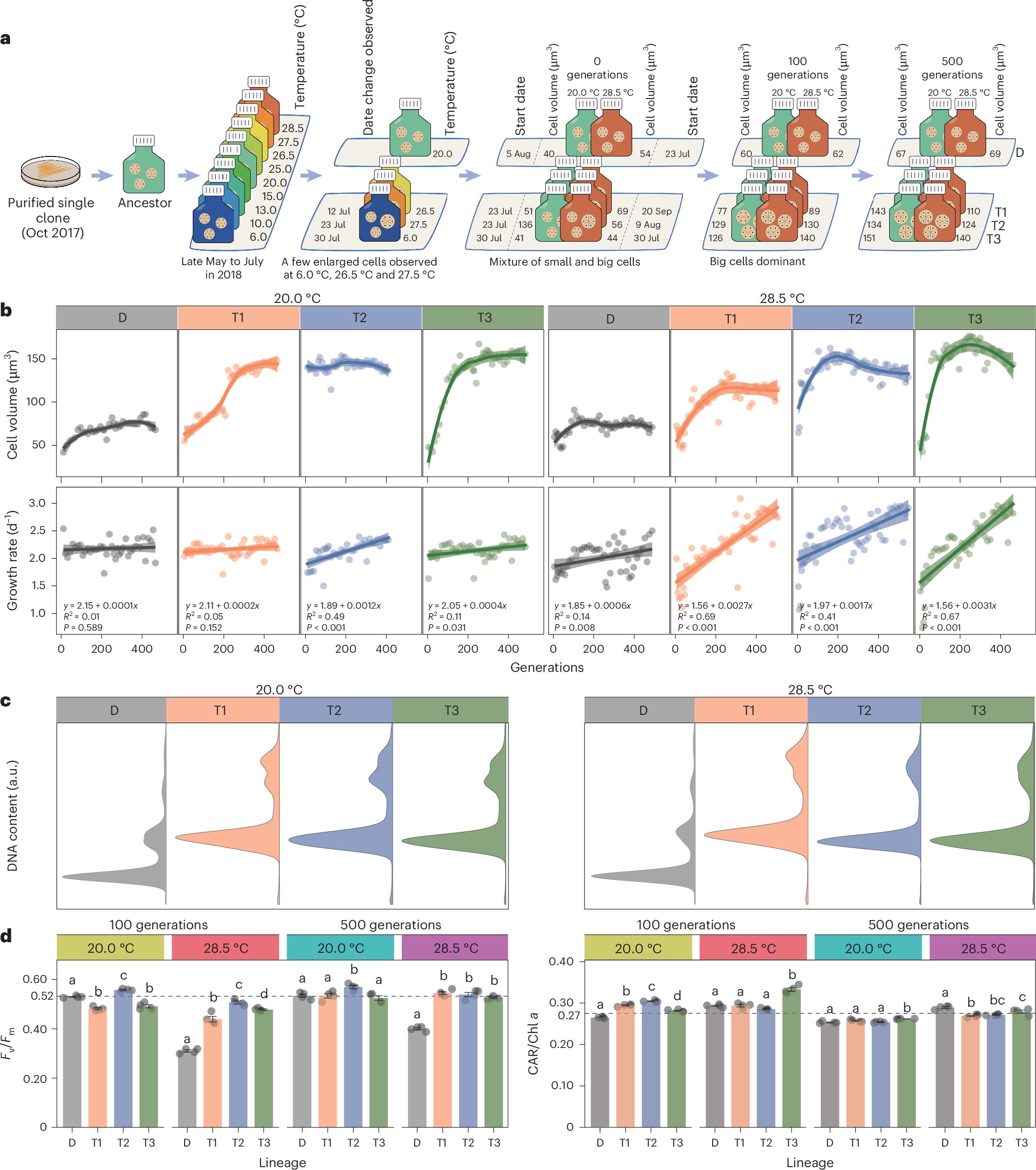 jcamthrash's tweet card. Nature Climate Change - The authors obtained large-volume individuals of diatom cultures under thermal stress. These polyploids (having more than two sets of chromosomes) are shown to rapidly adapt...