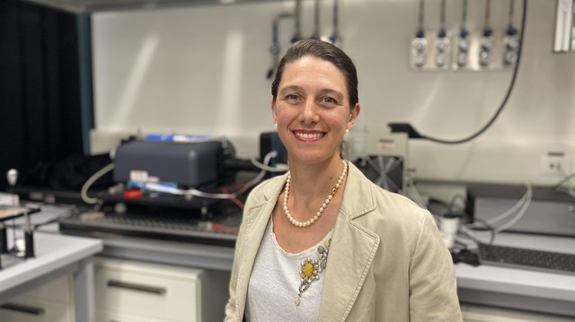 lnet_epfl's tweet card. School of Engineering professor Giulia Tagliabue, head of the Laboratory of Nanoscience for Energy Technologies (LNET) received the 2024 Latsis University prize for EPFL for her exceptional achieve...