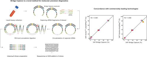 OmicsOmicsBlog's tweet card. Liquid biopsies quantifying mutations in circulating-tumor DNA (ctDNA) by targeted next-generation sequencing have been gaining popularity. They are performed by various library preparation methods,...