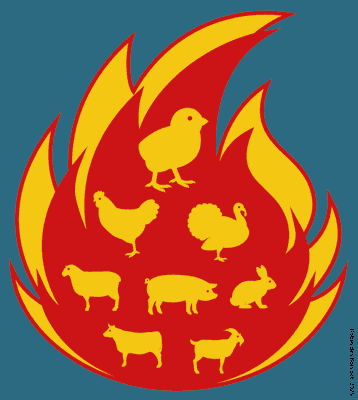 Image for twitter card
