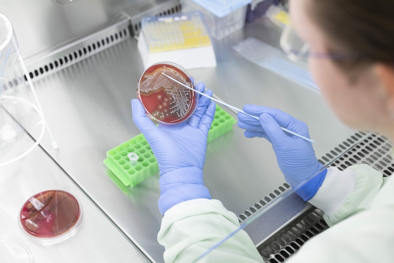 MicrobesInfo's tweet card. Scientists at the Leibniz Institute of Photonic Technology (Leibniz IPHT) have developed a new microarray-based diagnostic platform that can help close vaccination gaps and quickly detect antibioti...