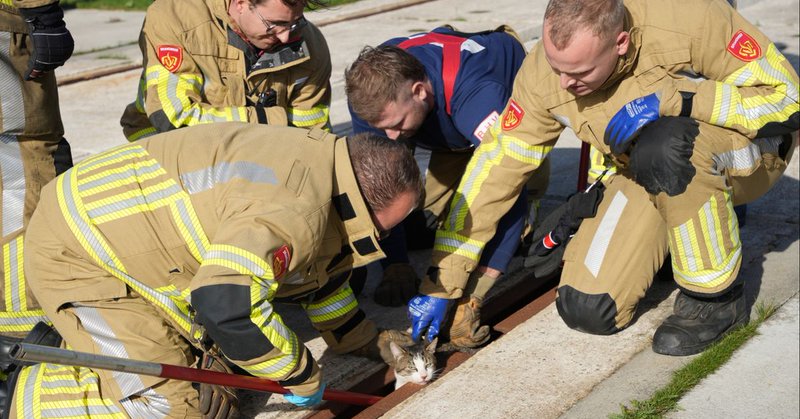 Brandweer bevrijdt vastzittende kat uit rails