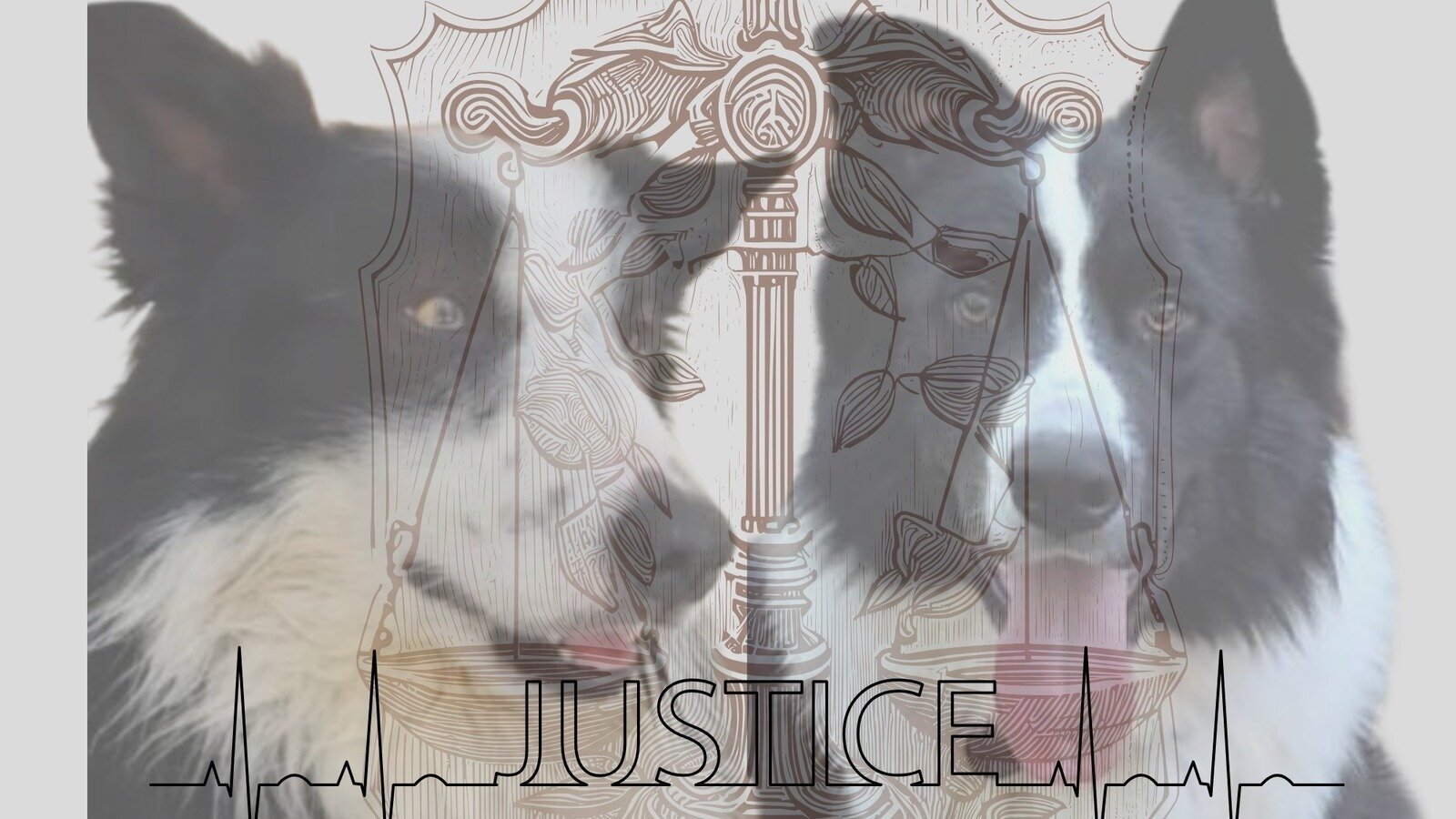 areagossosbdn's tweet card. Justícia para Lucky y Kollie