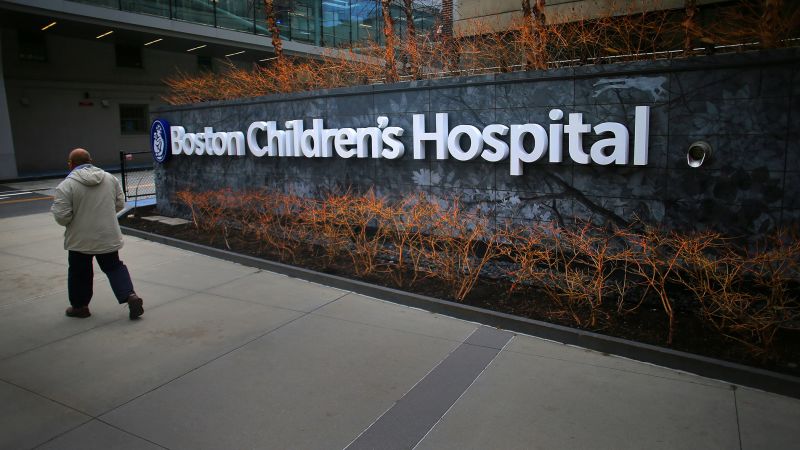 fuzzing_panda's tweet card. Iranian government-backed hackers were behind an attempted hack of the Boston Children’s Hospital computer network last year, FBI Director Christopher Wray alleged Wednesday, calling it “one of the...