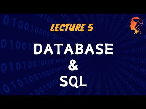 coder_x_'s tweet card. DATABASE _ COMPUTER BASICS _ LECTURE #5 #database #computer #viral...