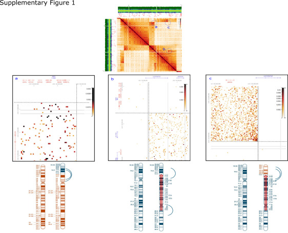 OmicsOmicsBlog's tweet card. Structural variants are critical to genetic diversity and disease, yet their detection remains challenging with conventional cytogenetic techniques, including karyotyping, fluorescence in situ...