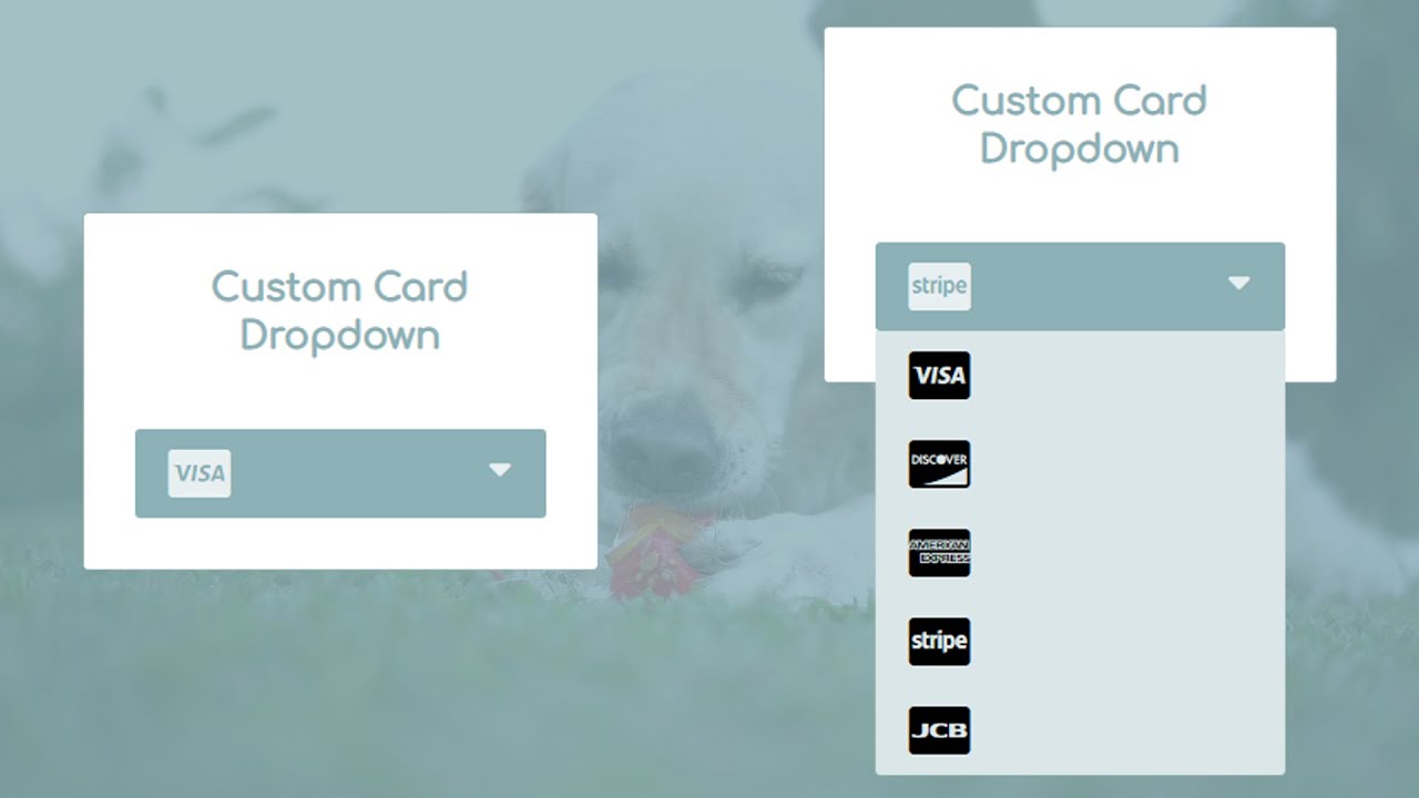 coding_market's tweet card. How to create the Custom card drop down Using HTML CSS and jQuery -...
