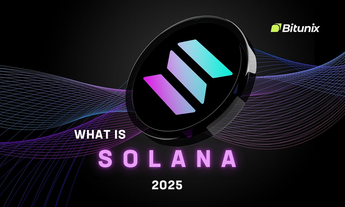 0xDaisypto's tweet card. Solana is a high-performance, layer-1 blockchain designed to deliver fast, low-cost, and scalable transactions. Launched in March 2020…