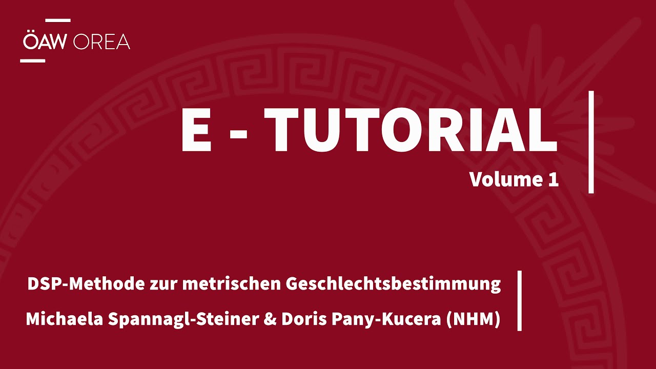 orea_news's tweet card. DSP-Methode zur metrischen Geschlechtsbestimmung - Michaela Spannag...
