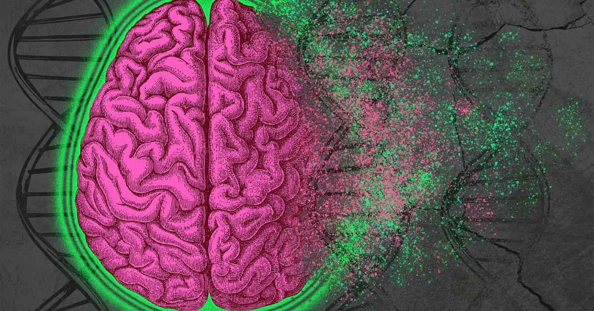 MIT_Picower's tweet card. By analyzing epigenomic and gene expression changes that occur in Alzheimer’s disease, researchers identify cellular pathways that could become new drug targets