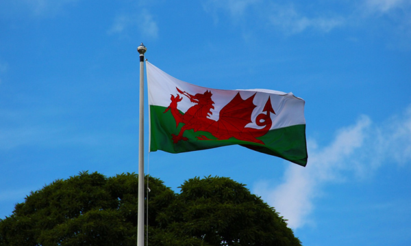 WalesBusiness's tweet card. The Welsh Language Commissioner and the National Centre for Learning Welsh have announced a new partnership aimed at increasing Welsh skills in the