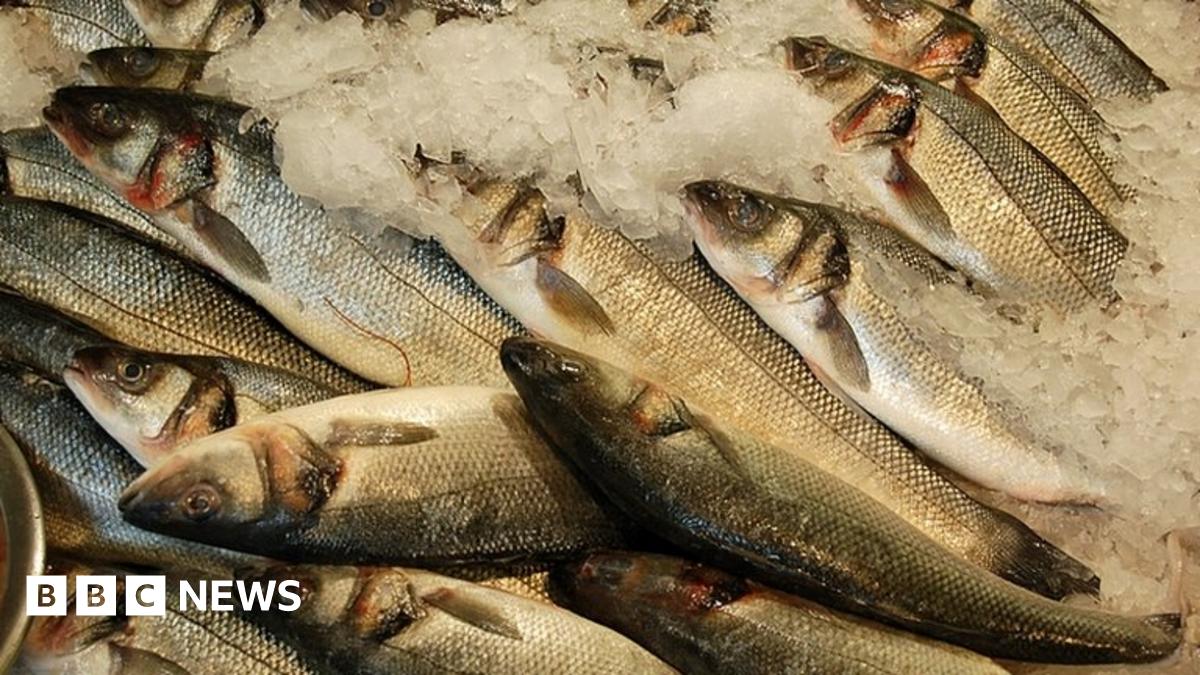 webbaseddesign's tweet card. The European Parliament votes on ending fish discards and new rules to allow fish stocks to recover.