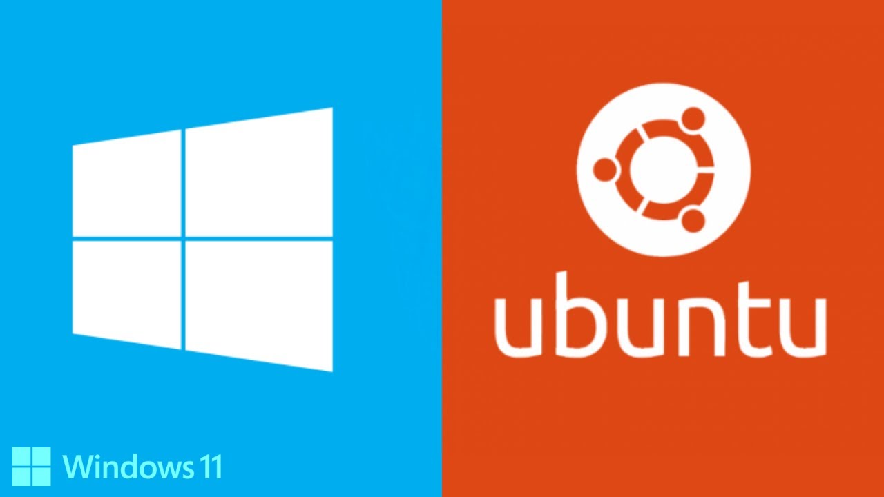 ProgrammingKnow's tweet card. How to Run Linux/Bash on Windows 11 | Windows 11 Bash & Linux...