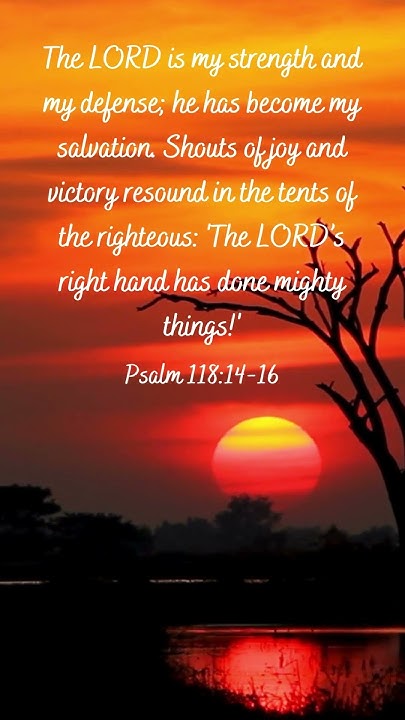 Scriptforlife's tweet card. 3 verses for Encouragement #rejoice #thankfullness #psalm9 #1thessa...