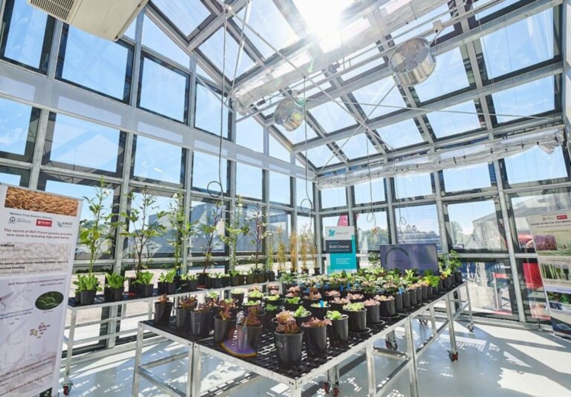AustralianM's tweet card. ClearVue Technologies has joined a landmark $20 million research project led by RMIT University to advance the development of energy-efficient, solar-powered greenhouses aimed at transforming food...