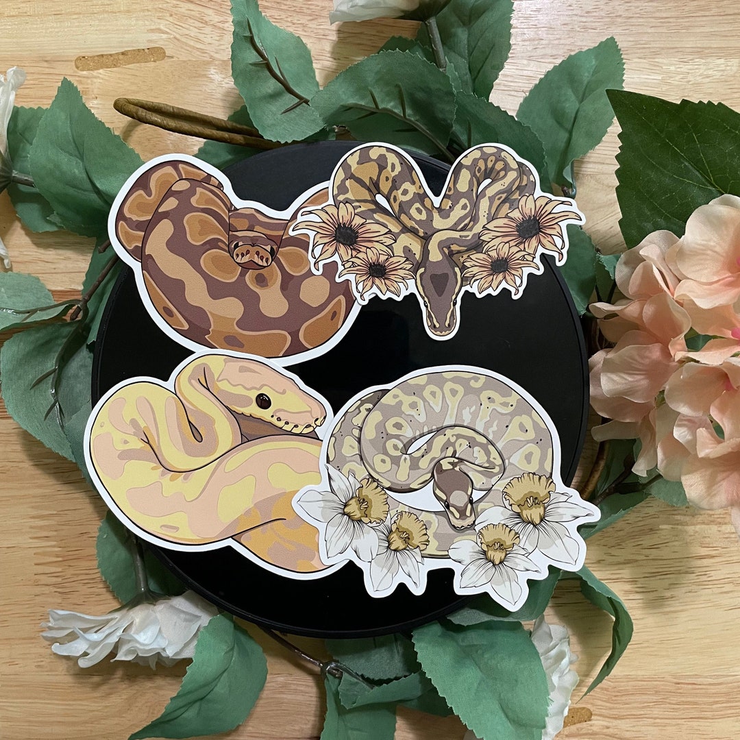 AngeladerisoA's tweet card. This Stickers item by emmasartistrypro has 212 favorites from Etsy shoppers. Ships from Fort Lauderdale, FL. Listed on Oct 22, 2025
