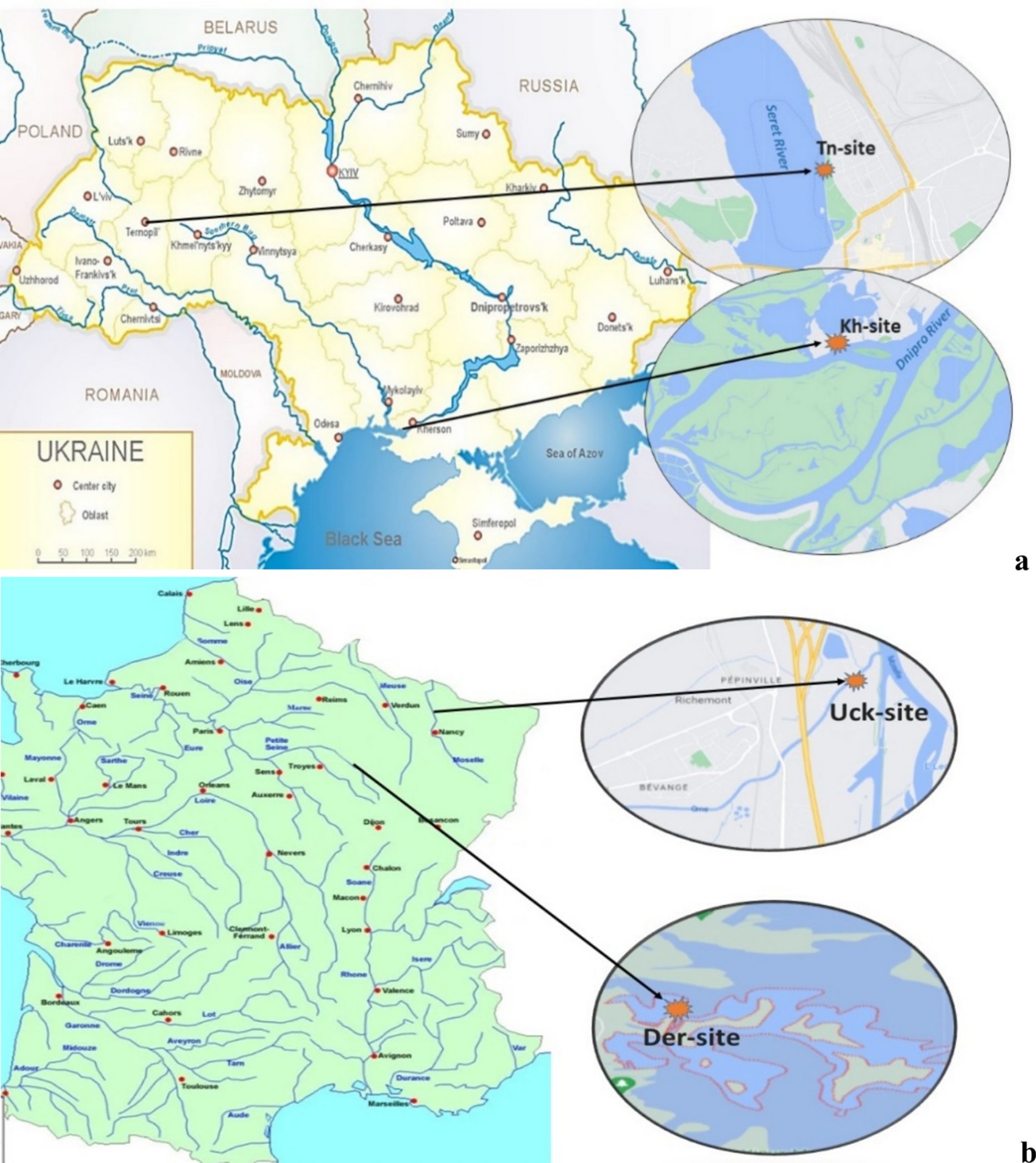 HYDR_Springer's tweet card. Hydrobiologia - Zebra mussel Dreissena sp. is a remarkable invader distributed from Ponto-Caspian region and expected to adapt to new challenges. The aim of this study was to elucidate whether the...
