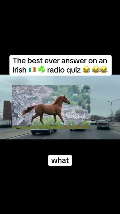 LessGrumpy's tweet card. The best ever answer on an Irish 🇮🇪 radio quiz 😂 #viral #radio...