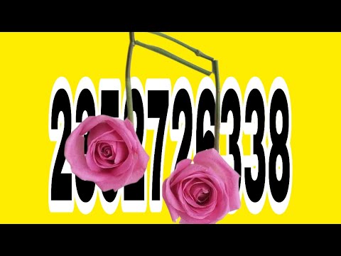 mahh69669277's tweet card. ROBLOX MUSIC CODES/ID(S) (FEBRUARY2024) * WORKING✅] AFTER UPDATE * Ids