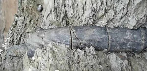 ExplorersWeb's tweet card. Ok, let's agree that China's Baigong Pipes are not evidence of extraterrestrial life. But then, what are they? Scientists finally think they know.