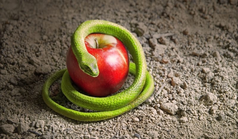 maikpi70's tweet card. Von Meryl Nass Bill Clinton beginnt das falsche Zeitalter von Pandemien und Bioterrorismus Im November 1997 hielt US-Verteidigungsminister William Cohen vor einem Heer von Kameras einen 5-Pfund-Sac…