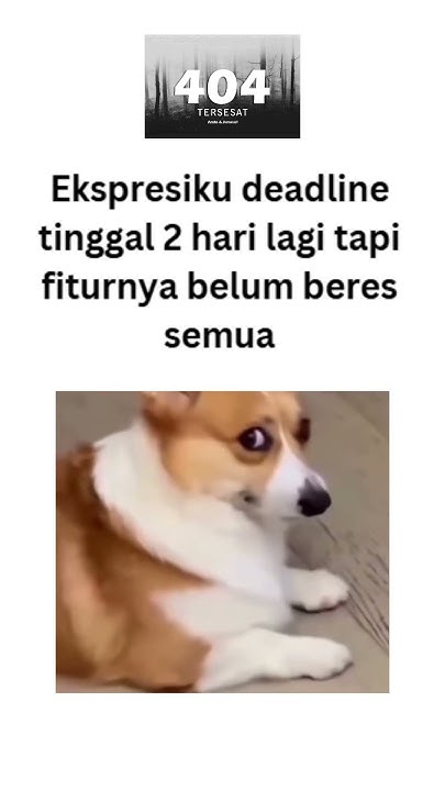 Programmer3603's tweet card. Ekspresiku deadline tinggal 2 hari lagi tapii .....................