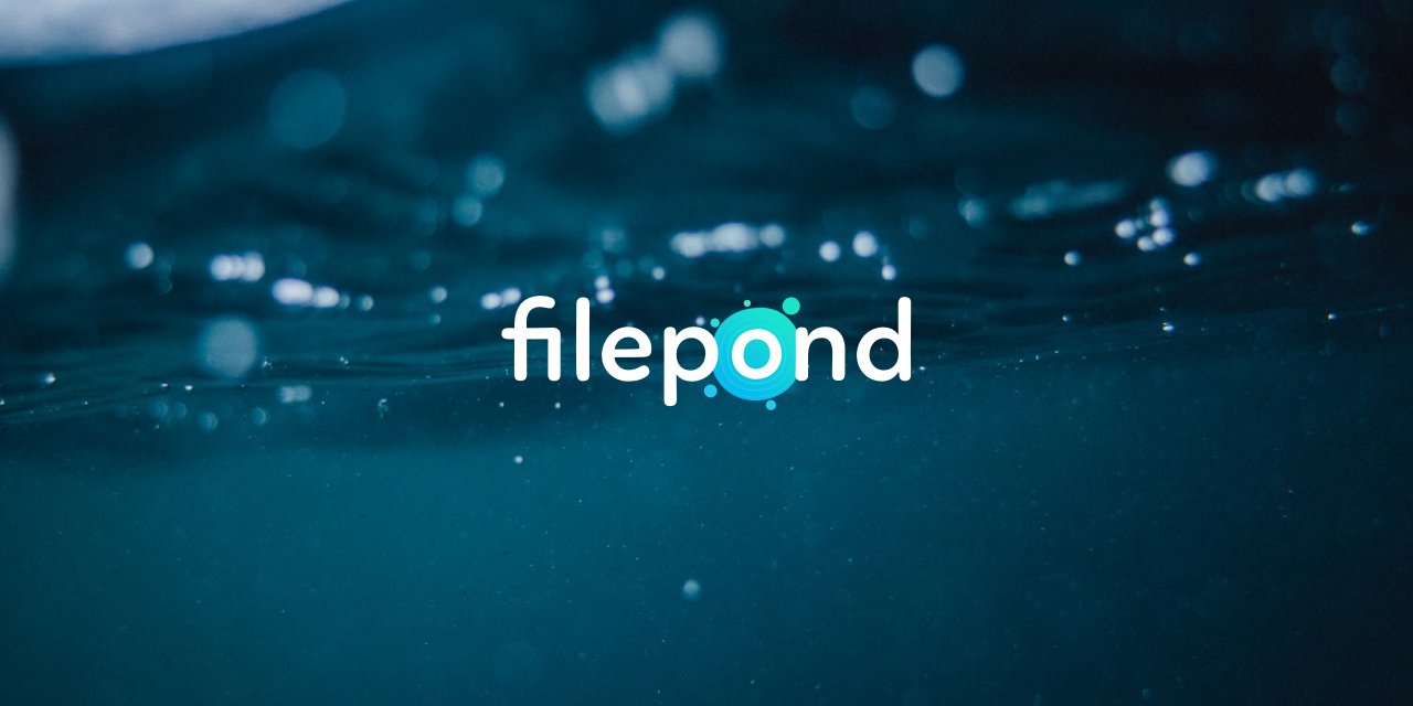 JavaScript10000's tweet card. 🌊 A flexible and fun JavaScript file upload library - pqina/filepond