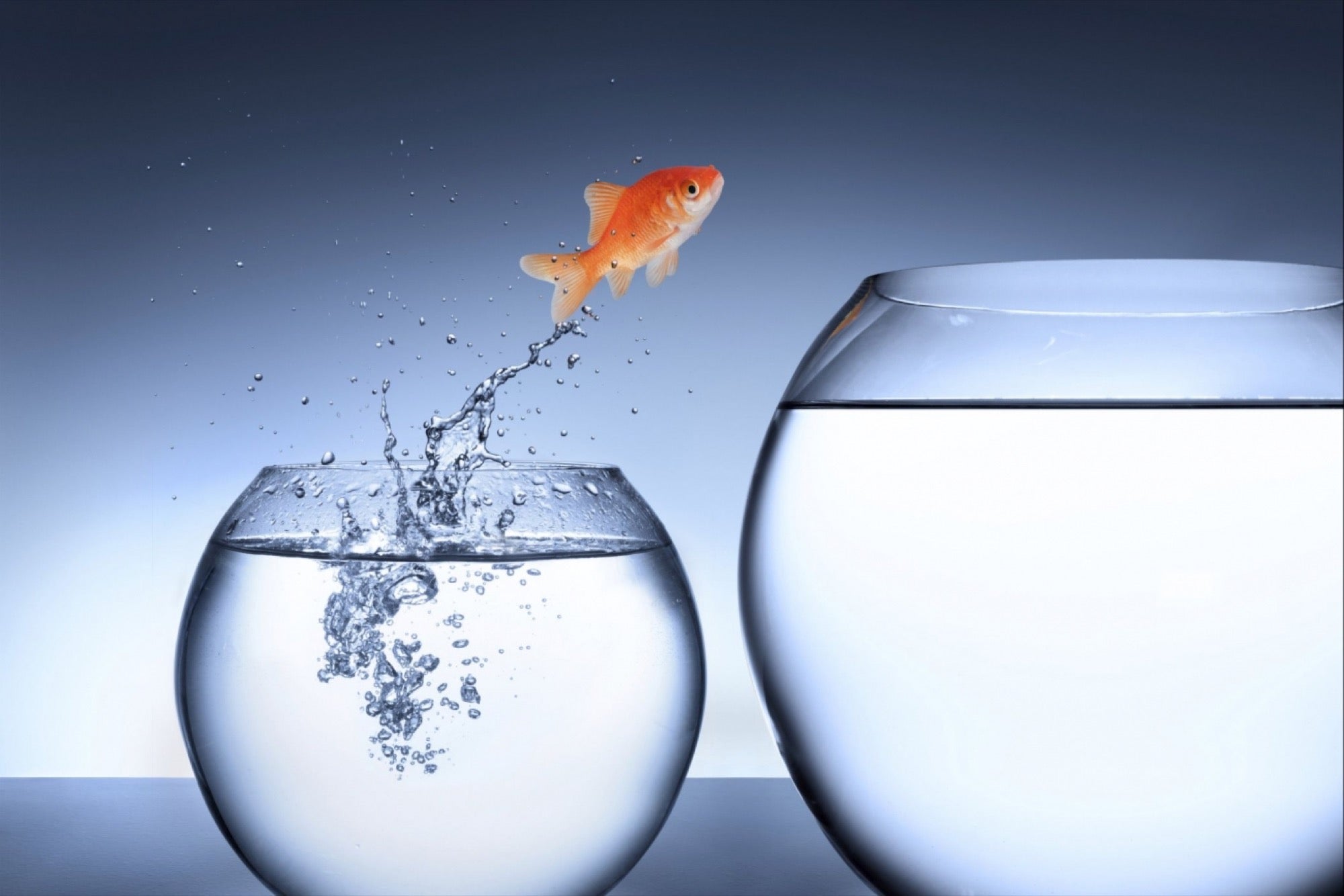 SeaTechBlog's tweet card. Any long-lasting sea change in the landscape of startup capital will happen gradually with countless hiccups.