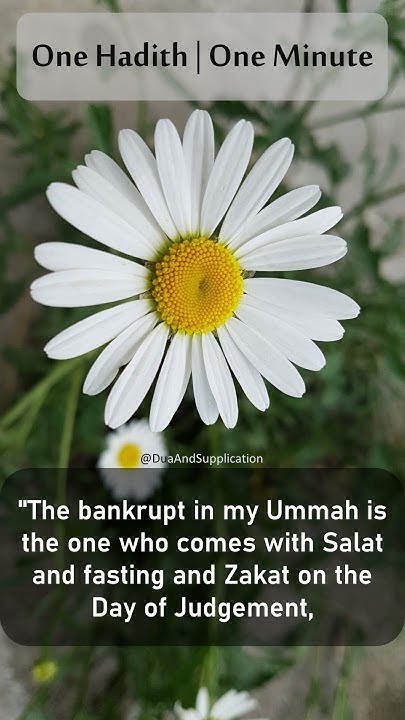 DuaInvocation's tweet card. The Bankrupt of my Ummah | Jami` at-Tirmidhi 2418 | one hadith one...