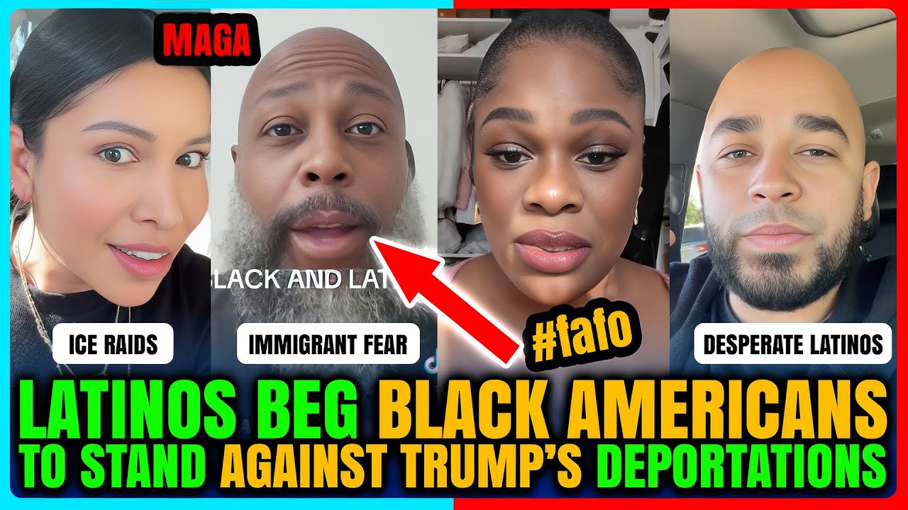 Dnipro_1's tweet card. Latinos Desperate Beg Black Folks to Save Them from Trump THEY VOTED...