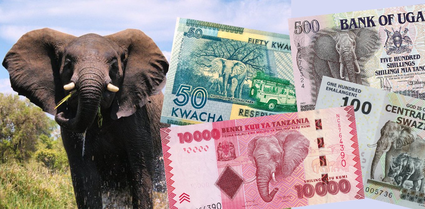 Steph_Biosec's tweet card. What do you know about your national currency? How about the cash used overseas? We studied wildlife imagery on banknotes around the world. Here’s what we found.