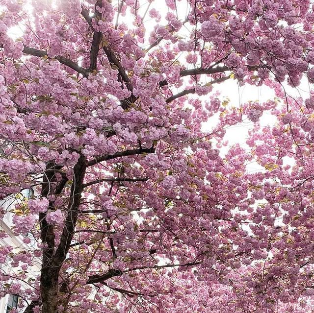 FORelementsBlog's tweet card. Dagmara Jakubczak (@dagmaraforelements) • Instagram photos and videos
