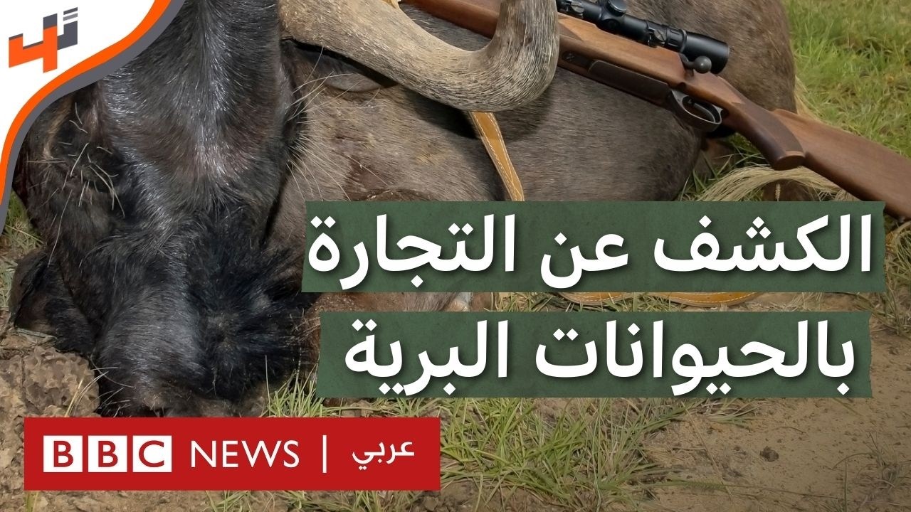BBC4tech's tweet card. الاتجار غير الشرعي بالحيوانات البرية.. هل تساعد التكنولوجيا في الكشف...