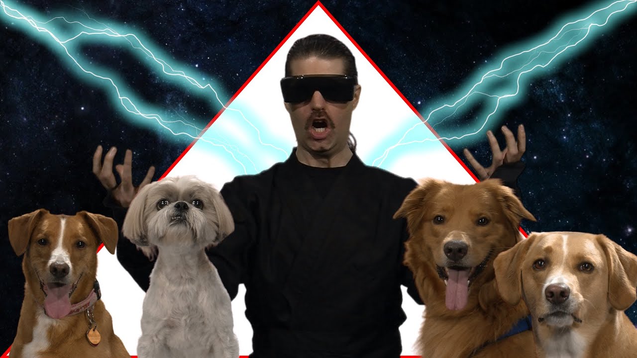 shwood's tweet card. GET DOGS PUMPED