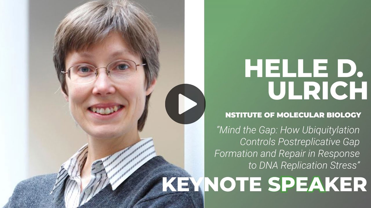 CantorLab's tweet card. DNA Replication Gaps, Cancer and Disease Meeting Promo