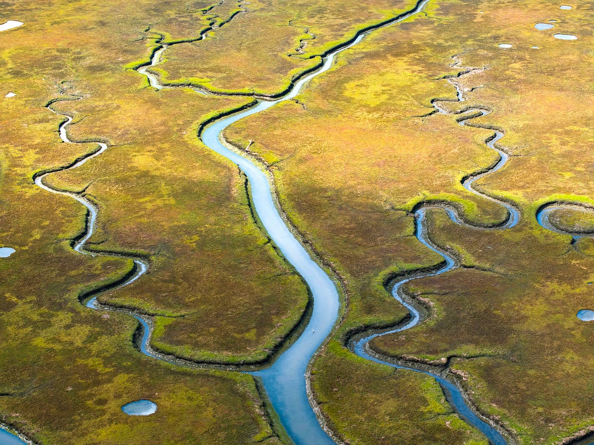 fhussonnois's tweet card. Welcome to Orchestrating Streams, a blog series where I explore the space of data streaming and orchestration. In each post, I will…