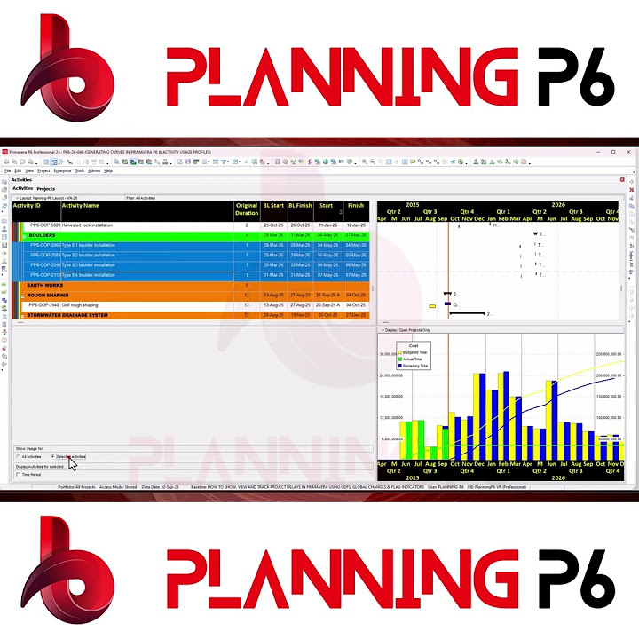 Planningp6's tweet card. How to Use Activity Usage Profile in P6 | Generate Curves by Selected...
