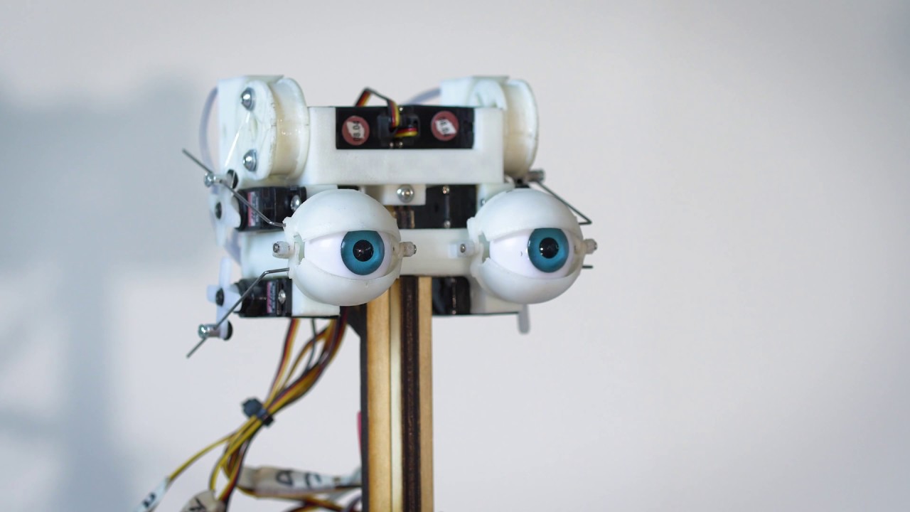 riot_robot's tweet card. EYES: the window to a robots soul?